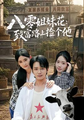 海岸线以北电视剧海报
